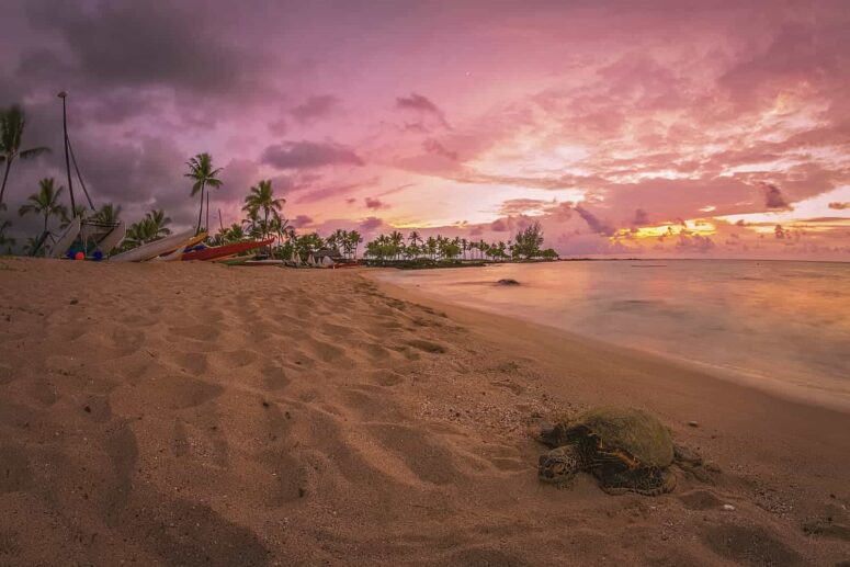 Những điều mạo hiểm để làm trên Đảo Lớn Hawaii
